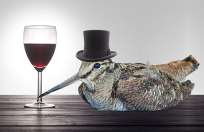 Woodcocks & Wine