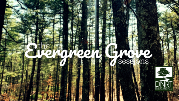 Evergreen Grove Sessions