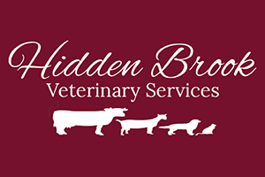 Hidden Brook Veterinary