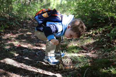 Hikes for Tykes